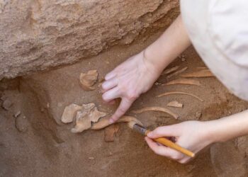 Archaeologists discover in Noisy-le-Grand one of the largest and oldest necropolis in Europe