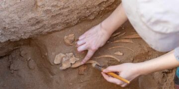 Archaeologists discover in Noisy-le-Grand one of the largest and oldest necropolis in Europe