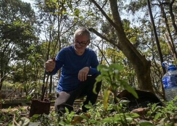 Retiree plants 40,000 trees in 21 years and creates one of the world's largest linear parks - “It's not just digging holes.”