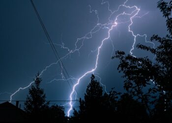 Panama's immortal tree - survives lightning, kills rivals and grows stronger after every storm