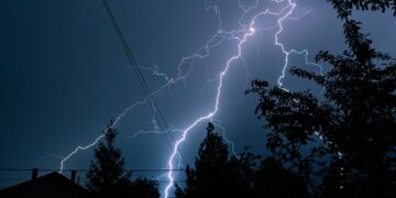 Panama's immortal tree - survives lightning, kills rivals and grows stronger after every storm