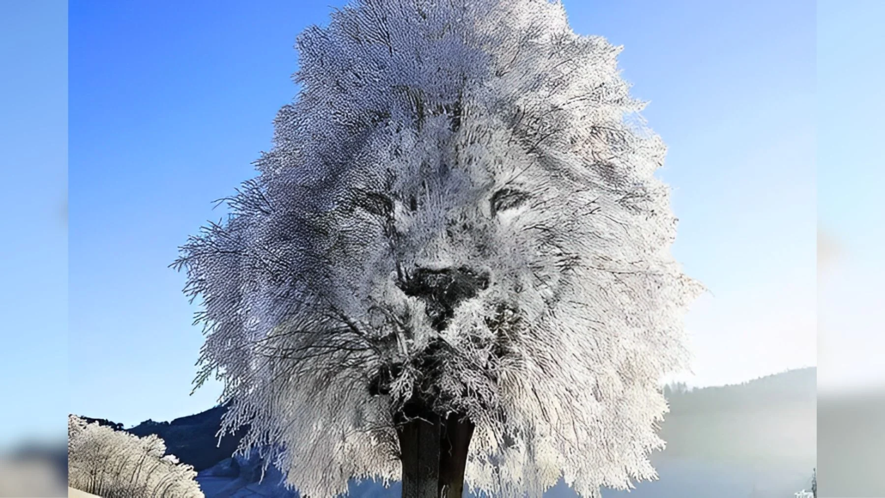 This viral psychology test reveals if you can detect lies with just a glance at an illustration