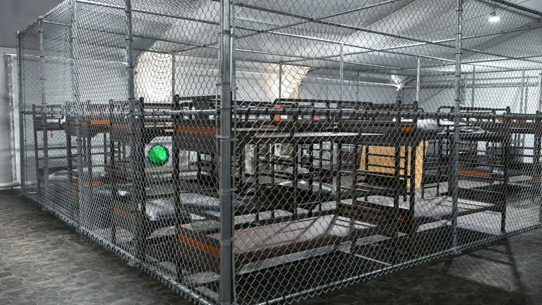 Confirmed - torture, starvation and abuse reported at Alligator Alcatraz detention center in Florida