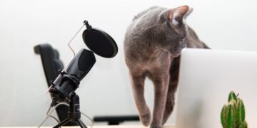 Confirmed - artificial intelligence can now translate what your cat says with 95% accuracy