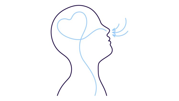 Farewell to fingerprints - science discovers that your nose can also identify you with 96.8% accuracy