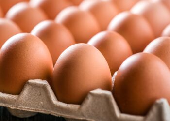 Confirmed - Trump sues California over egg laws, sparks new political and legal warfare