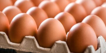 Confirmed - Trump sues California over egg laws, sparks new political and legal warfare