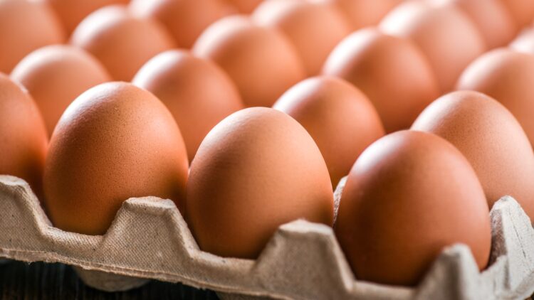 Confirmed - Trump sues California over egg laws, sparks new political and legal warfare