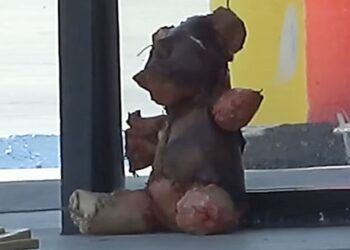 Neither crime nor serial killer... the motive will surprise you: the mysterious teddy bear with human skin was the work of a horror artist