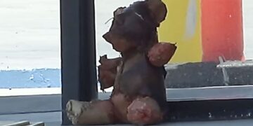 Neither crime nor serial killer... the motive will surprise you: the mysterious teddy bear with human skin was the work of a horror artist