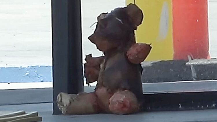 Neither crime nor serial killer... the motive will surprise you: the mysterious teddy bear with human skin was the work of a horror artist