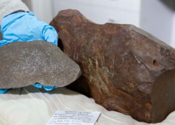 Neither gold nor copper - what this man had stored at home is much more valuable and hardly any of it exists in the world