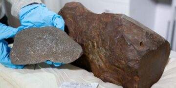 Neither gold nor copper - what this man had stored at home is much more valuable and hardly any of it exists in the world