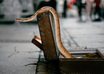 he tried to put 16 live snakes in his suitcase from Thailand to India and got caught at the airport