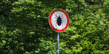 This is the real reason why ticks go straight for you