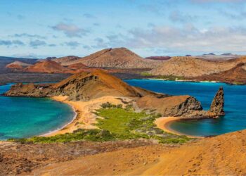 these wild tomatoes in the Galapagos are defying evolution and recovering genes thought lost millions of years ago