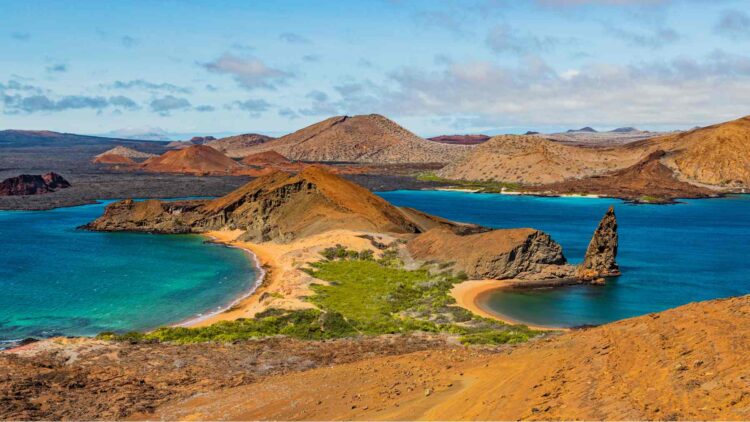 these wild tomatoes in the Galapagos are defying evolution and recovering genes thought lost millions of years ago