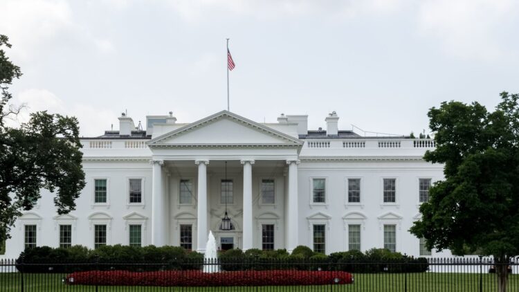 It's official - Trump eliminates paper checks for Social Security and half a million beneficiaries could lose their payment if they don't act now