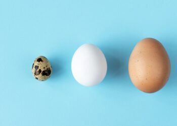 Turkey eggs are real, edible and some say they are better than chicken eggs