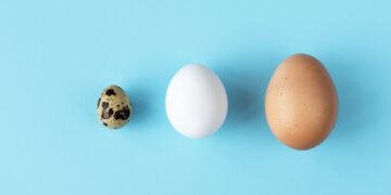 Turkey eggs are real, edible and some say they are better than chicken eggs