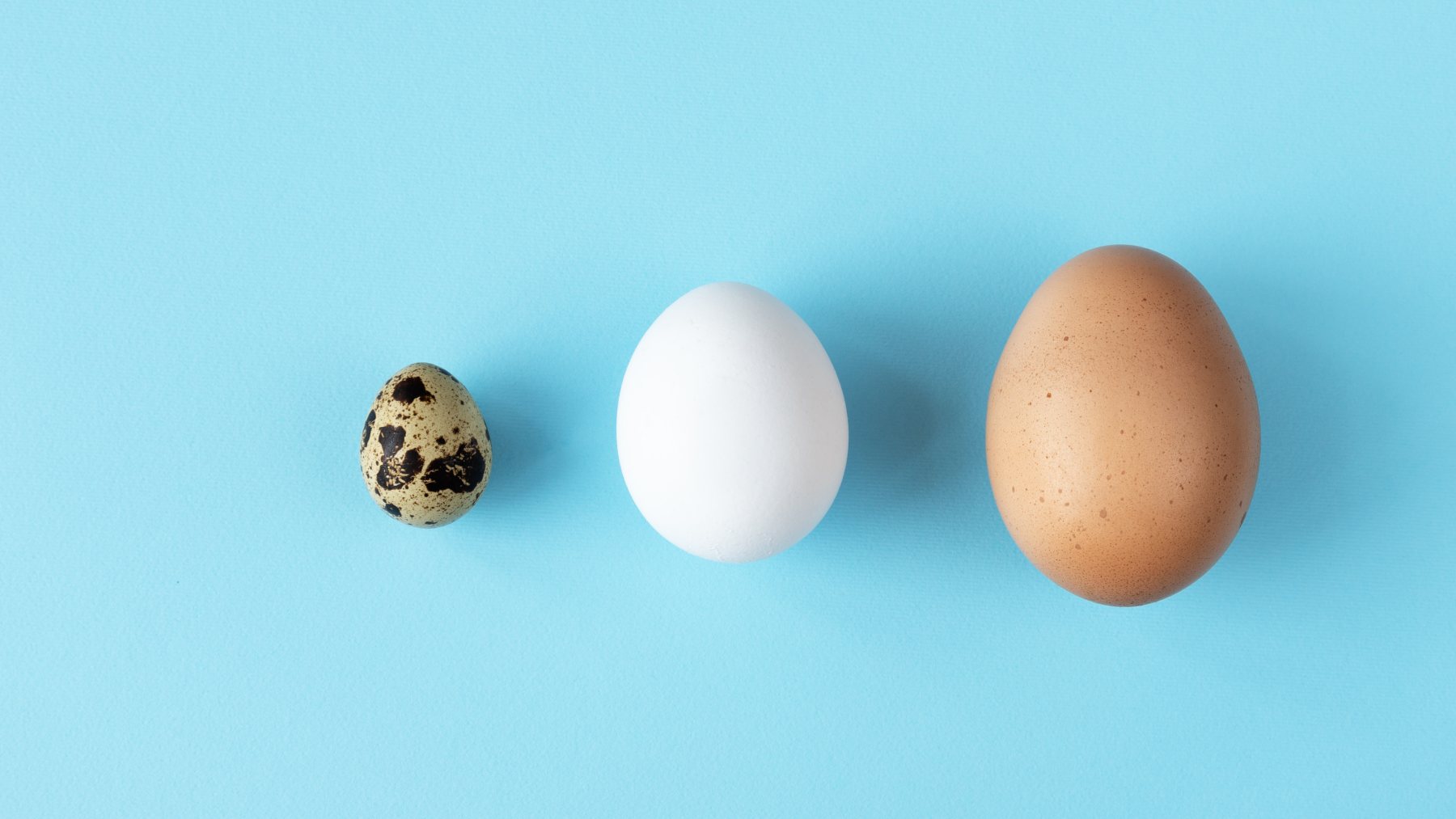 Turkey eggs are real, edible and some say they are better than chicken eggs