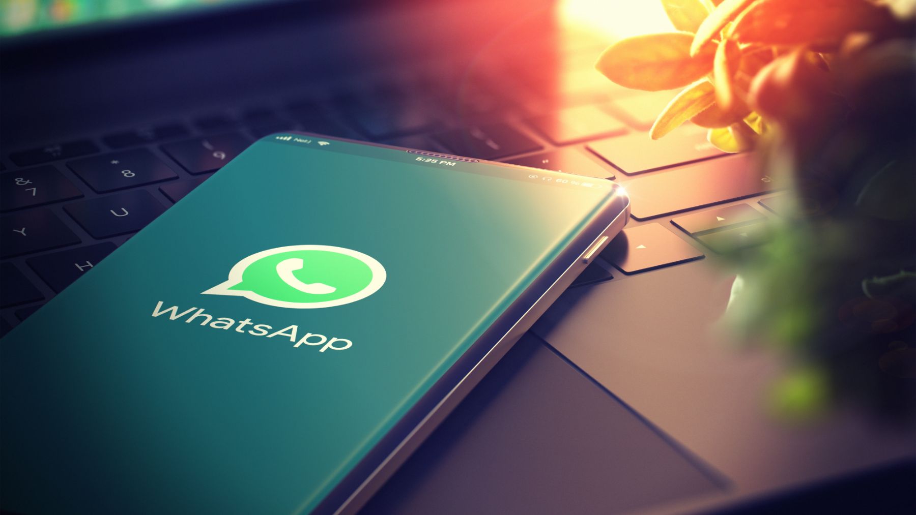 WhatsApp advertising arrives - Meta to introduce ads on WhatsApp for the first time and change the app that millions use every day