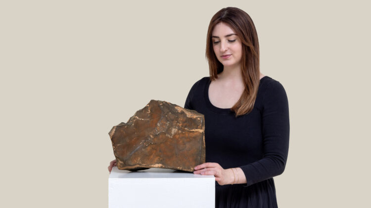 The largest meteorite from Mars ever found on Earth sold for $5 million in New York—this 25-kilogram Martian rock sparked an international legal battle