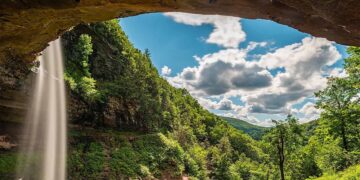The world's oldest forest discovered in New York—385-million-year-old fossils reveal the secrets of life on Earth before the dinosaurs