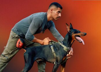 Confirmed - if your dog rides you, he could be releasing stress or overexcitement, not wanting to impose dominance