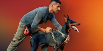 Confirmed - if your dog rides you, he could be releasing stress or overexcitement, not wanting to impose dominance