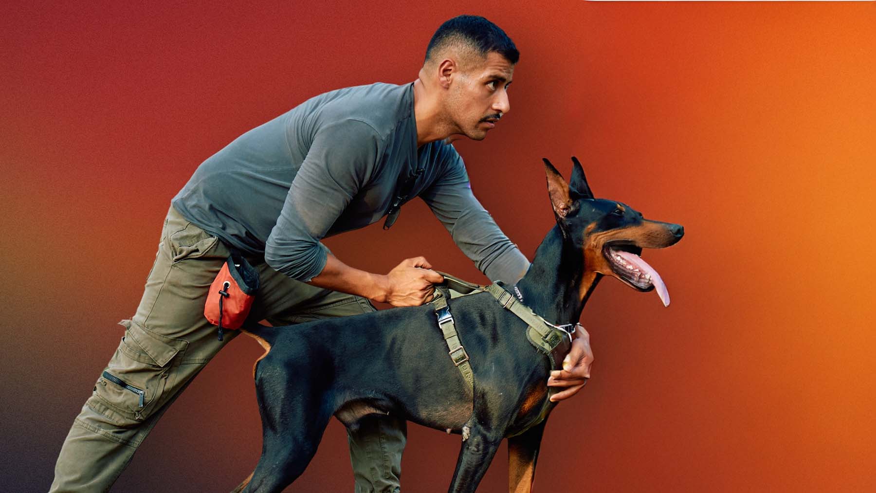 Confirmed - if your dog rides you, he could be releasing stress or overexcitement, not wanting to impose dominance