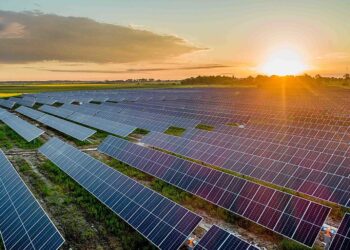 Goodbye to roofs covered in panels—this is how Australia's revolutionary “solar garden” works, promising almost free energy using technology copied from nature