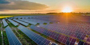Goodbye to roofs covered in panels—this is how Australia's revolutionary “solar garden” works, promising almost free energy using technology copied from nature