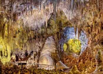 Scandal at Carlsbad Caverns—a simple bag of Cheetos threatens to alter the ecosystem of North America's largest underground chamber forever