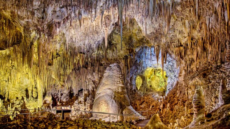 Scandal at Carlsbad Caverns—a simple bag of Cheetos threatens to alter the ecosystem of North America's largest underground chamber forever