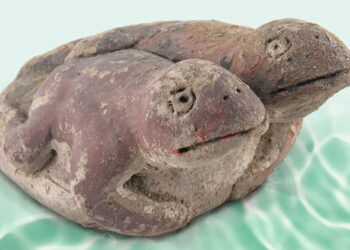 Shocking discovery in Peru—a 3,800-year-old figurine depicting two frogs joined together has been found, linked to the survival of the Caral civilization