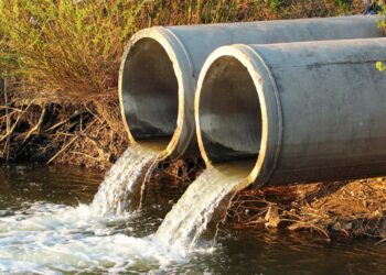 Confirmed—The United Kingdom will invest £1.3 million in a system that converts urine and feces into data to detect viruses before they spread