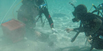 It's official—a diver discovers up to 50,000 Roman bronze coins off the coast of Sardinia, one of the largest treasures in Europe