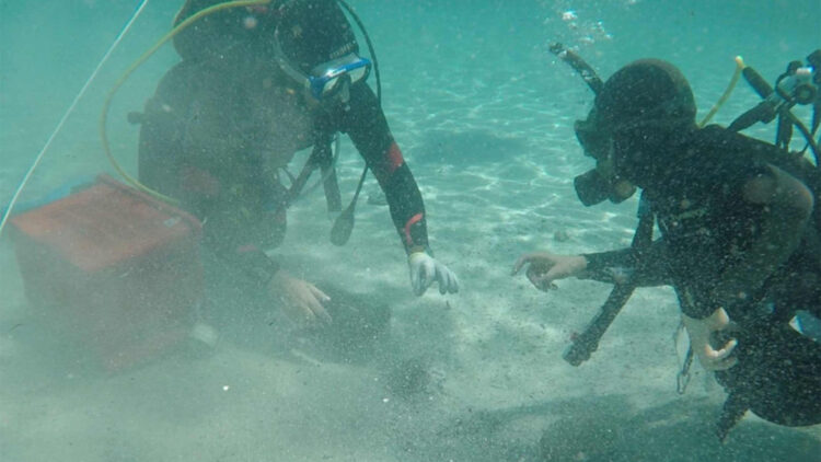 It's official—a diver discovers up to 50,000 Roman bronze coins off the coast of Sardinia, one of the largest treasures in Europe
