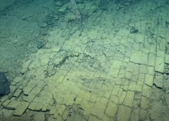 Goodbye to fiction—the Nautilus ROV captured images of an underwater path reminiscent of The Wizard of Oz, baffling researchers during a live broadcast