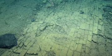 Goodbye to fiction—the Nautilus ROV captured images of an underwater path reminiscent of The Wizard of Oz, baffling researchers during a live broadcast