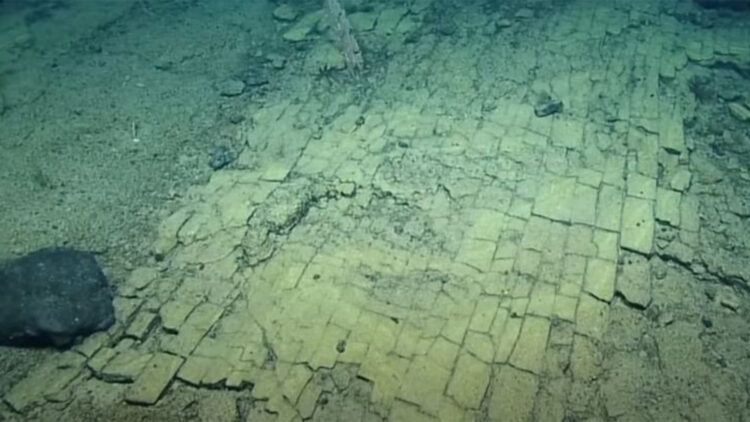 Goodbye to fiction—the Nautilus ROV captured images of an underwater path reminiscent of The Wizard of Oz, baffling researchers during a live broadcast
