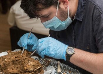 Unprecedented discovery in Vietnam—12,000-year-old bones found that could belong to Southeast Asia's oldest murder victim