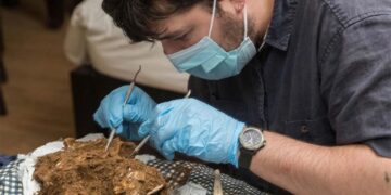 Unprecedented discovery in Vietnam—12,000-year-old bones found that could belong to Southeast Asia's oldest murder victim