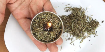 Goodbye to chemical air fresheners—the ritual of burning rosemary is making a comeback and promises to purify your home naturally and without toxins