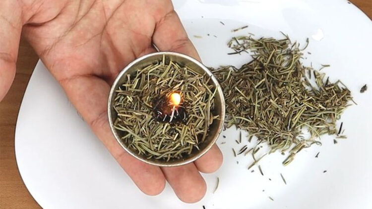 Goodbye to chemical air fresheners—the ritual of burning rosemary is making a comeback and promises to purify your home naturally and without toxins