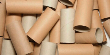 Goodbye to throwing away toilet paper rolls—the surprising way they can transform your garden and improve soil fertility