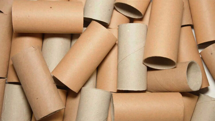 Goodbye to throwing away toilet paper rolls—the surprising way they can transform your garden and improve soil fertility