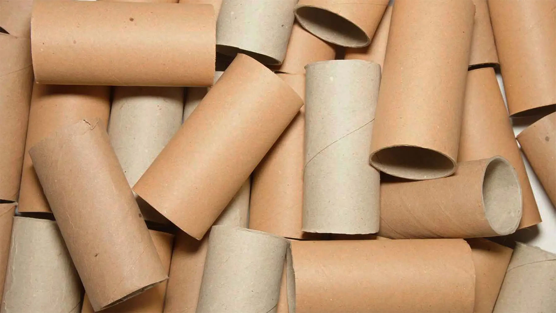 Goodbye to throwing away toilet paper rolls—the surprising way they can transform your garden and improve soil fertility
