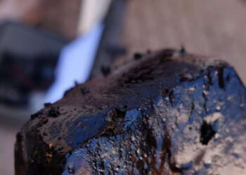 Confirmed—Neolithic “chewing gum” reveals human DNA, diet, and secrets from 6,000 years ago in the Alps